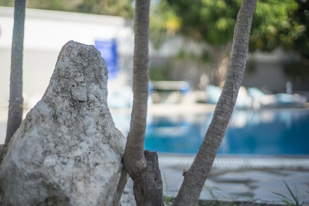 Anika Studios Faliraki Buitenkant foto